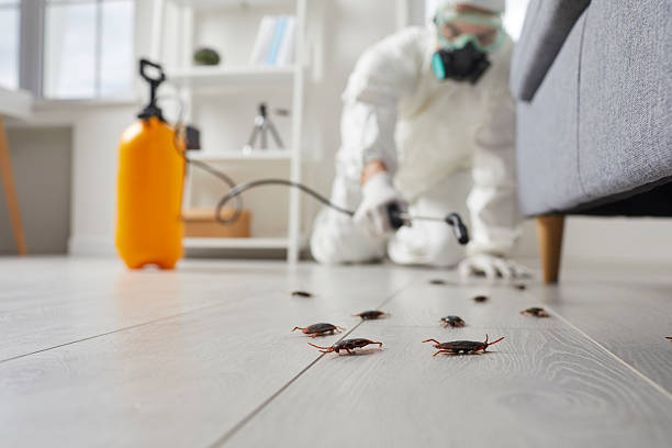 Trusted Rodent Control service in Chanhassen, MN - Nex Pest Control