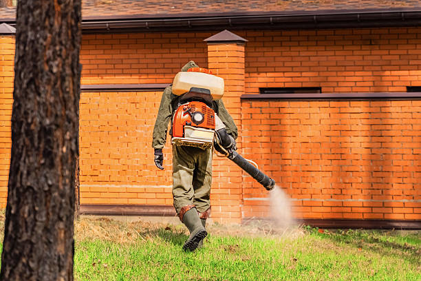 Trusted Ant Control service in Chanhassen, MN - Nex Pest Control
